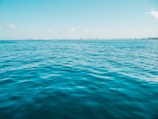 landscape photography of sea