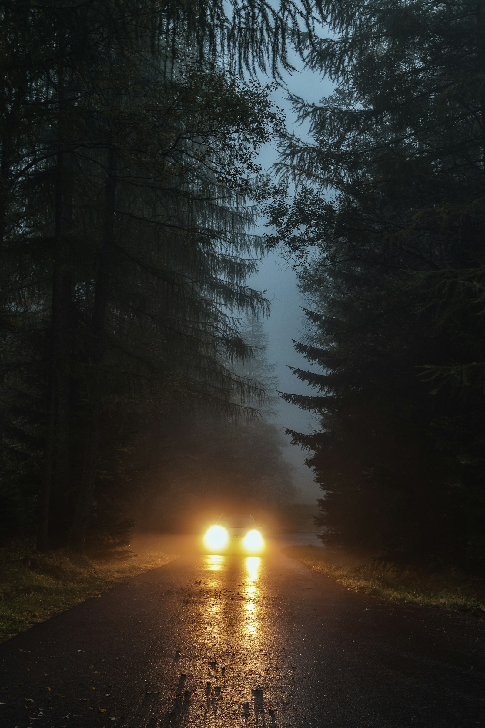 Canon EOS 70D + Tamron AF 28-75mm F2.8 XR Di LD Aspherical (IF) sample photo. Car driving in foggy photography