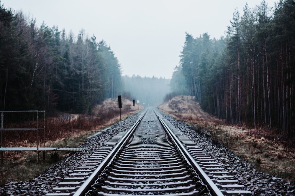 gray train rails