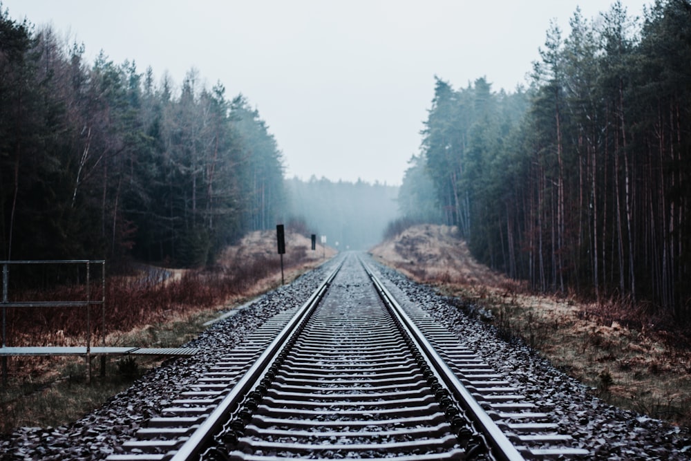 Rails de train gris