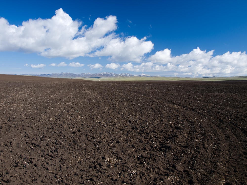 Foto von braunem Sand unter blauem Himmel