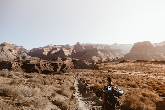 man walking on empty place surrounded by brown rock formation in Grand Canyon National Park United States