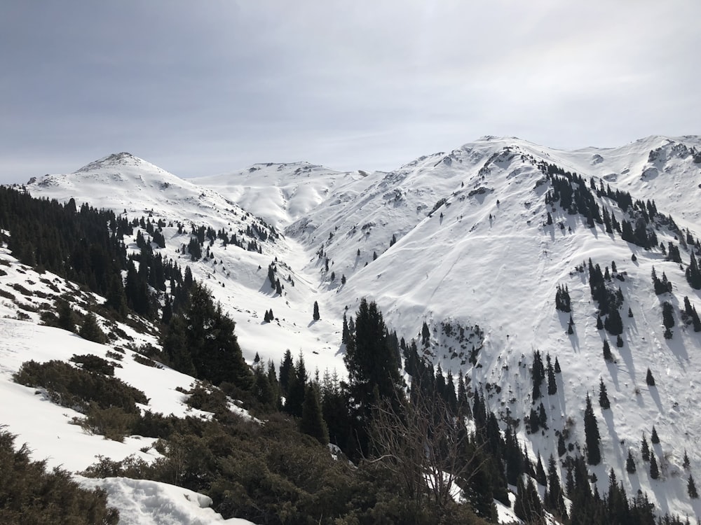 fotografia paesaggistica di montagne coperte di neve
