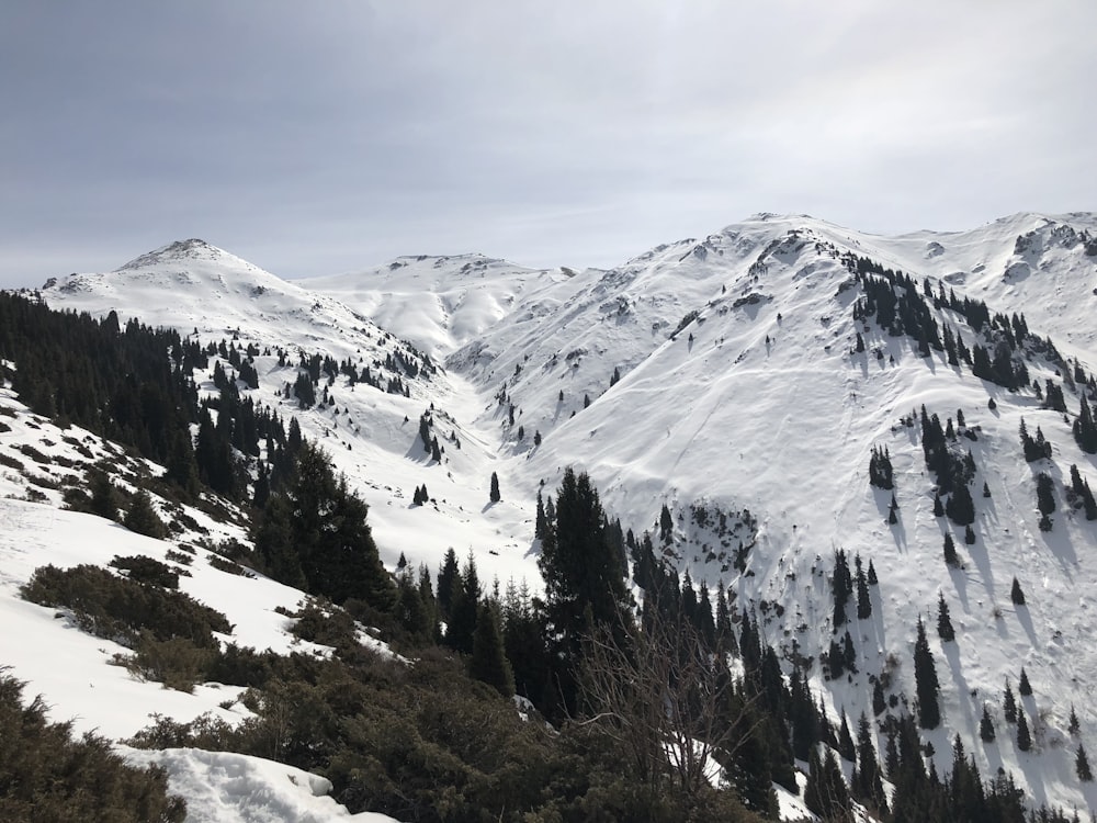 landscape photography of mountains covered with snow