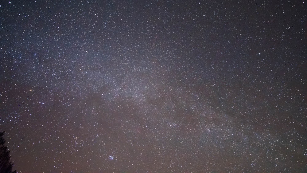 Milky Way low-angle photography