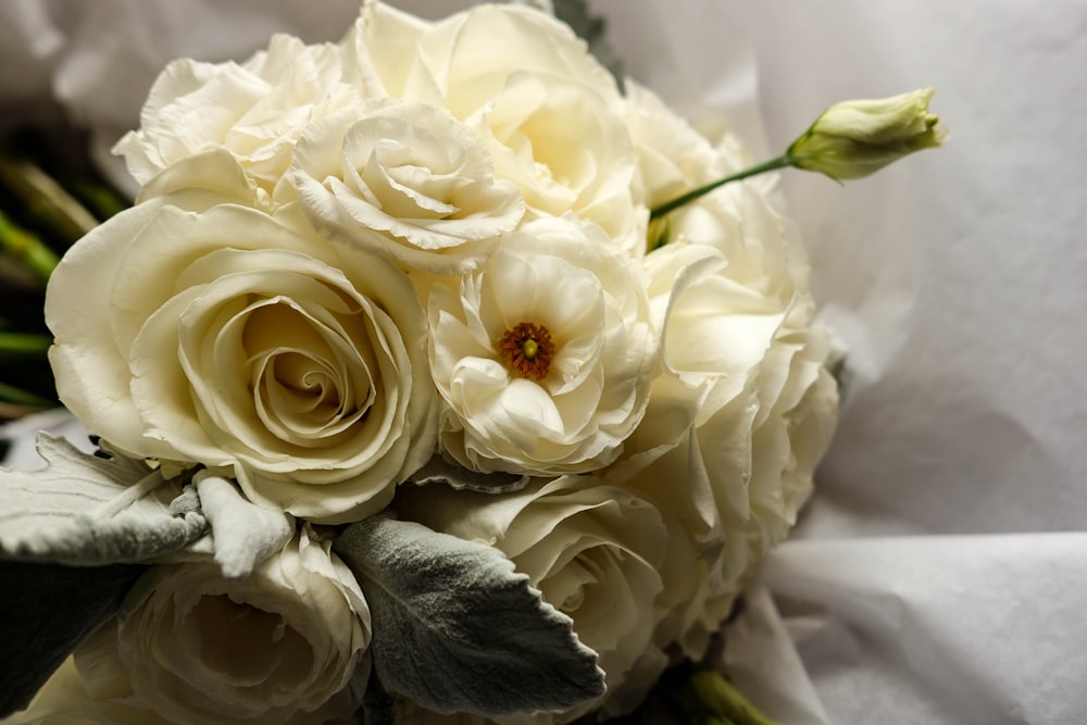 white flower arrangement