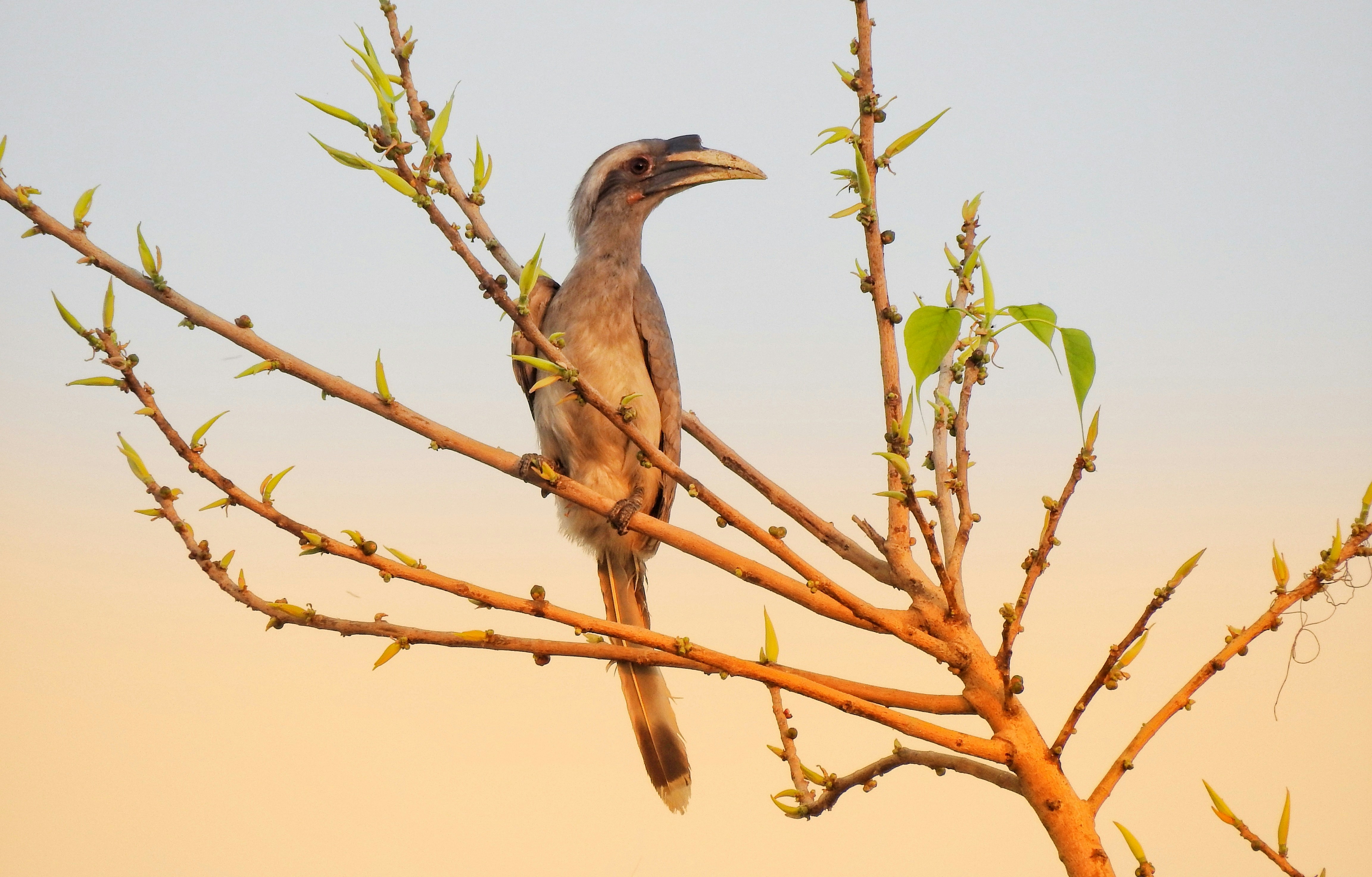 Photo by prashantsaini