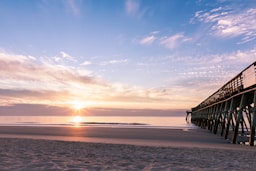 silhouette photography of black wooden dock near shoreline during sunrise