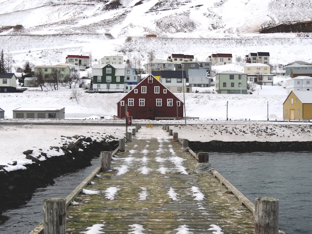 brown wooden dock front of assorted-color houses