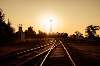 silhouette of electric post during golden hour