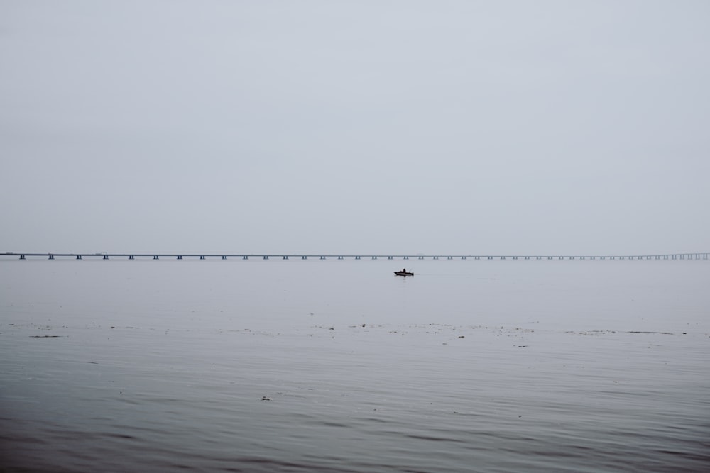 昼間の水域の写真