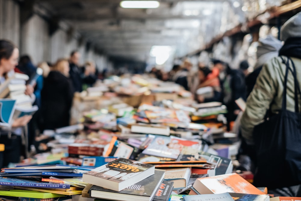 lote de livros variados