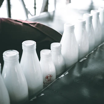 How much water to drink per day guide | VitalHealth Hub