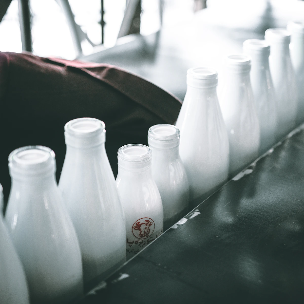 Fresh dairy farm