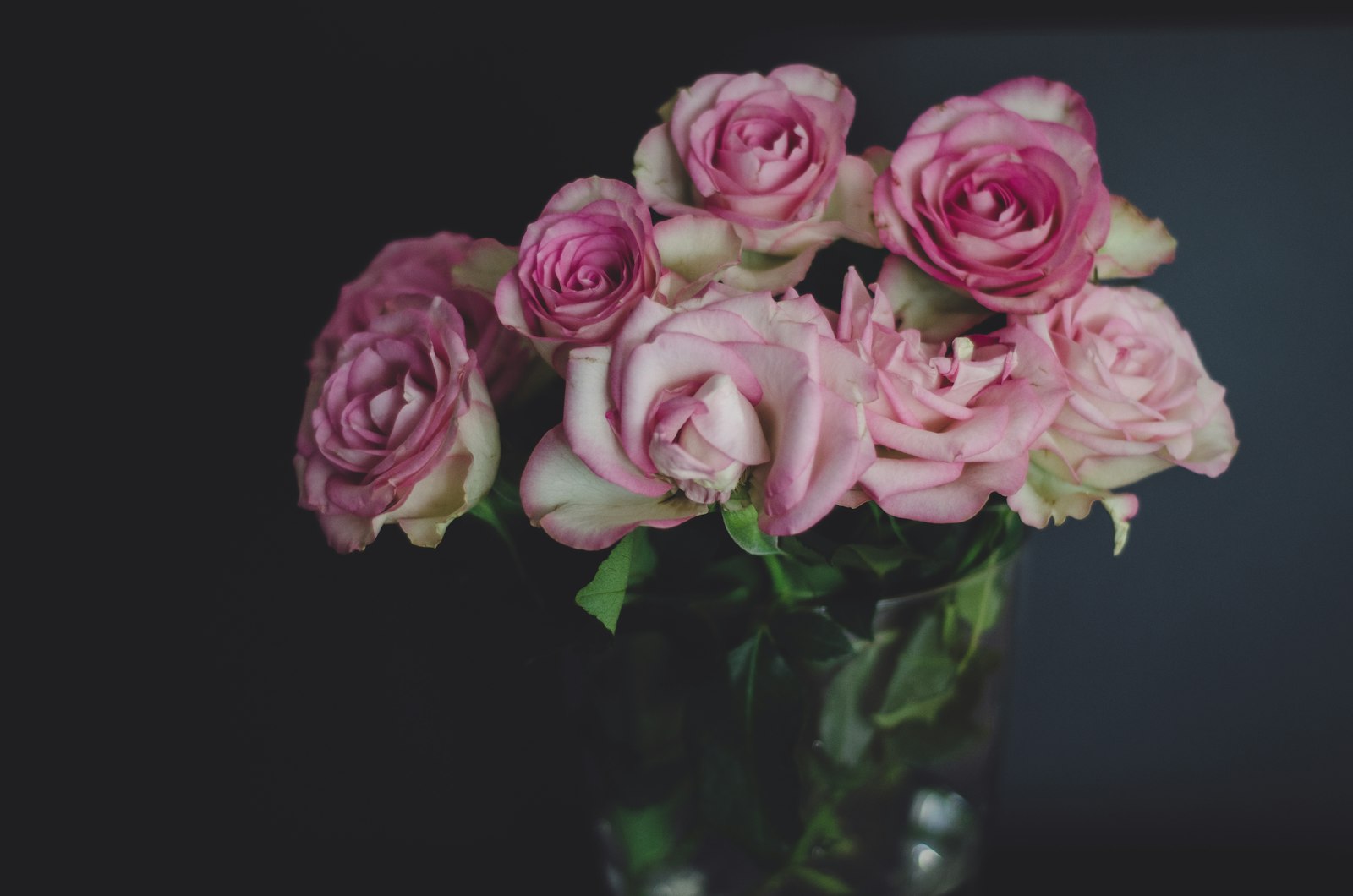 Nikon AF Nikkor 50mm F1.8D sample photo. Pink rose flowers centerpiece photography