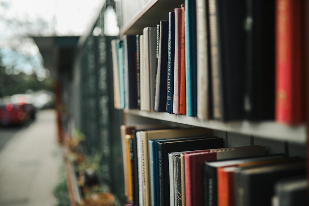 bookshelf photo