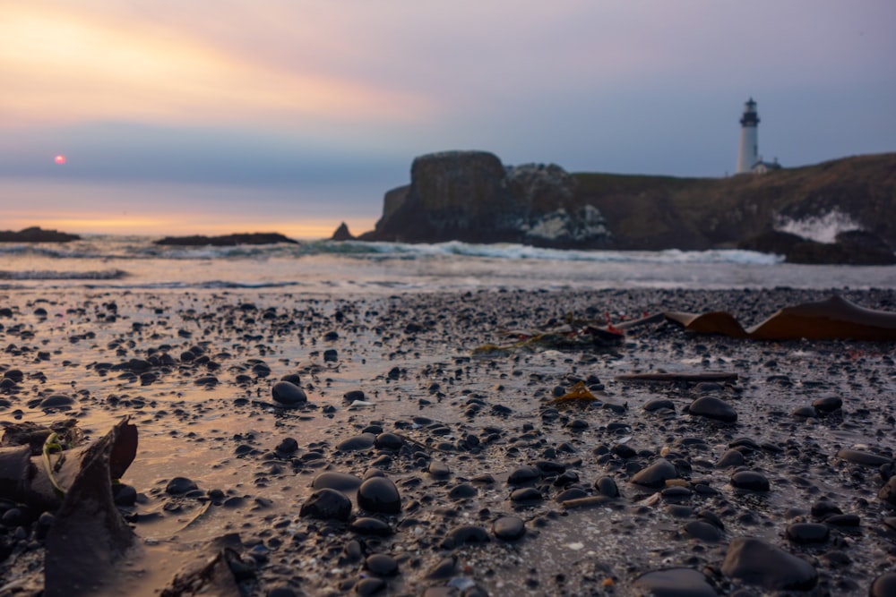 photograph of water waves rushing on shore