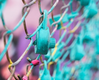 teal padlock on link fence