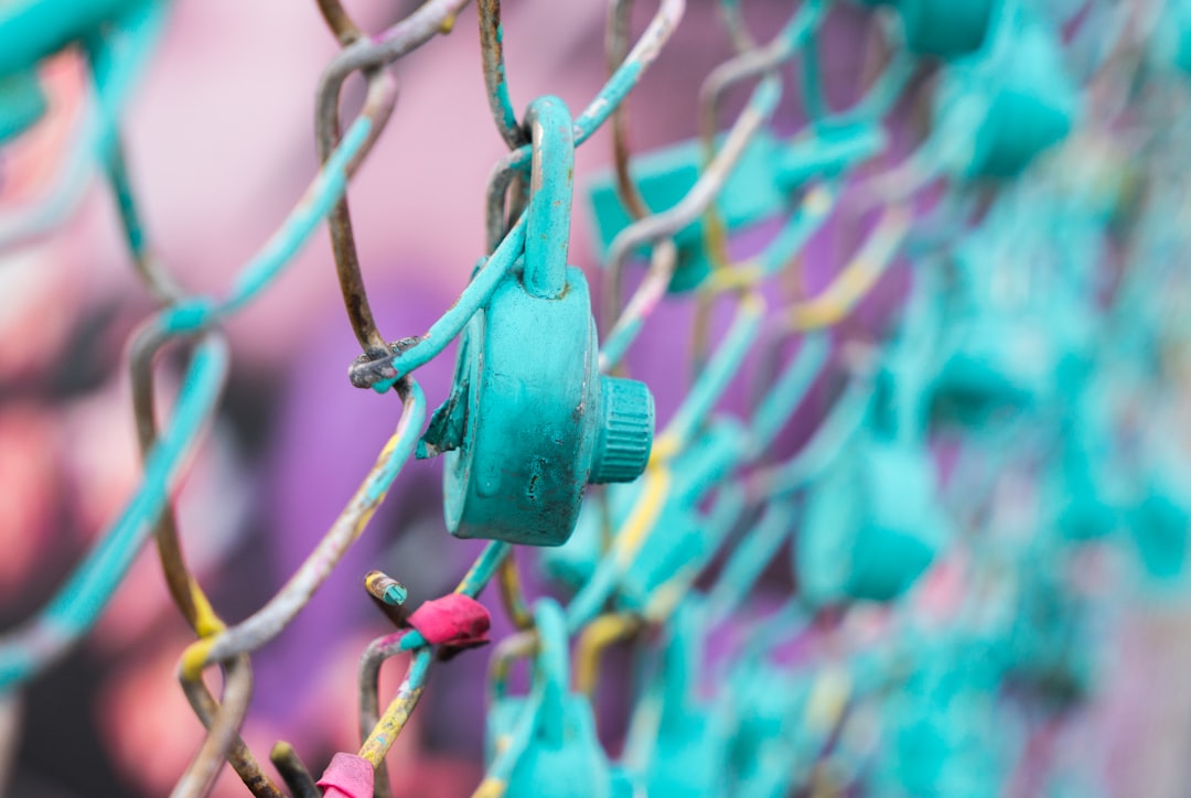 teal padlock on link fence,