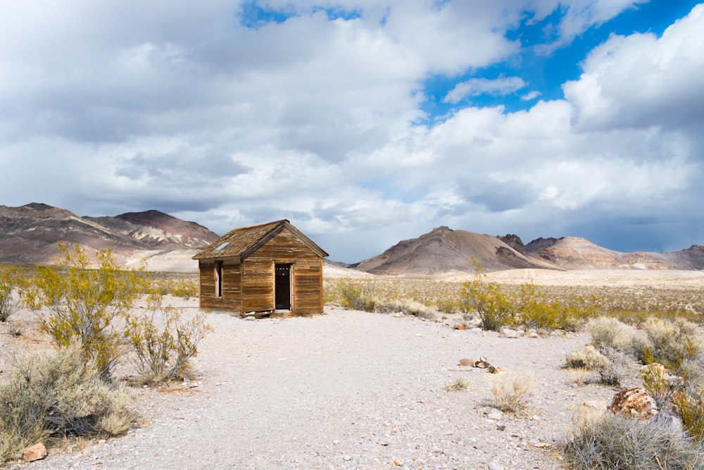 brown wooden shack near green grass