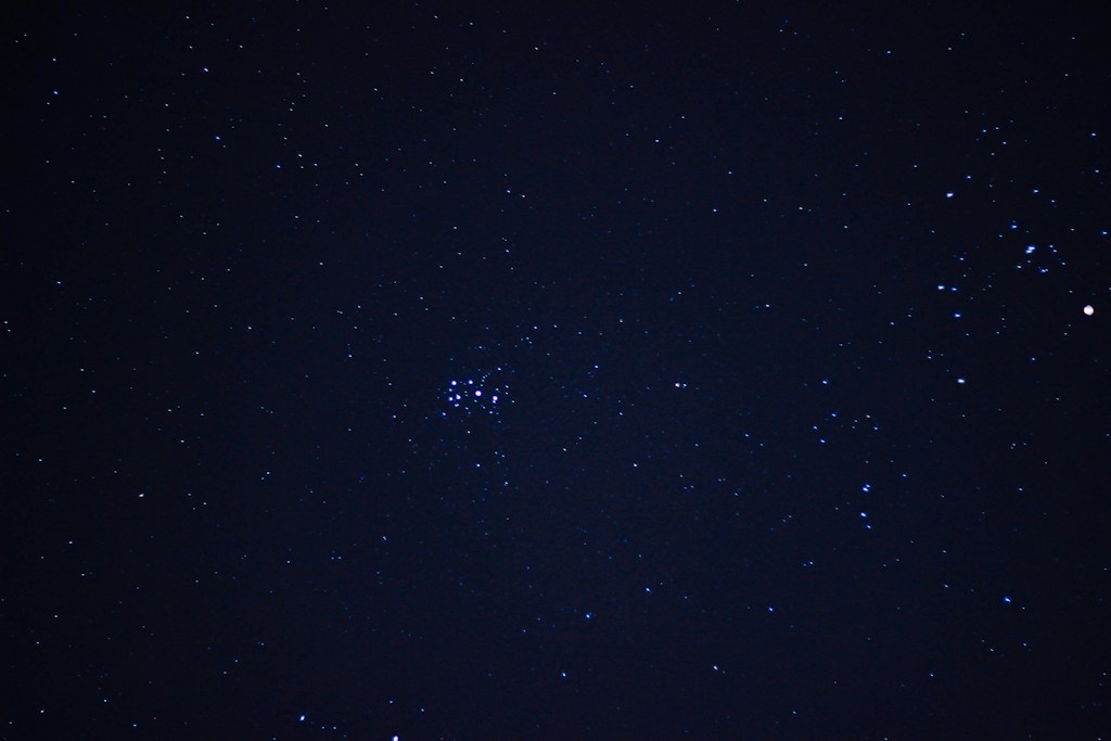 The Backyard Stargazer