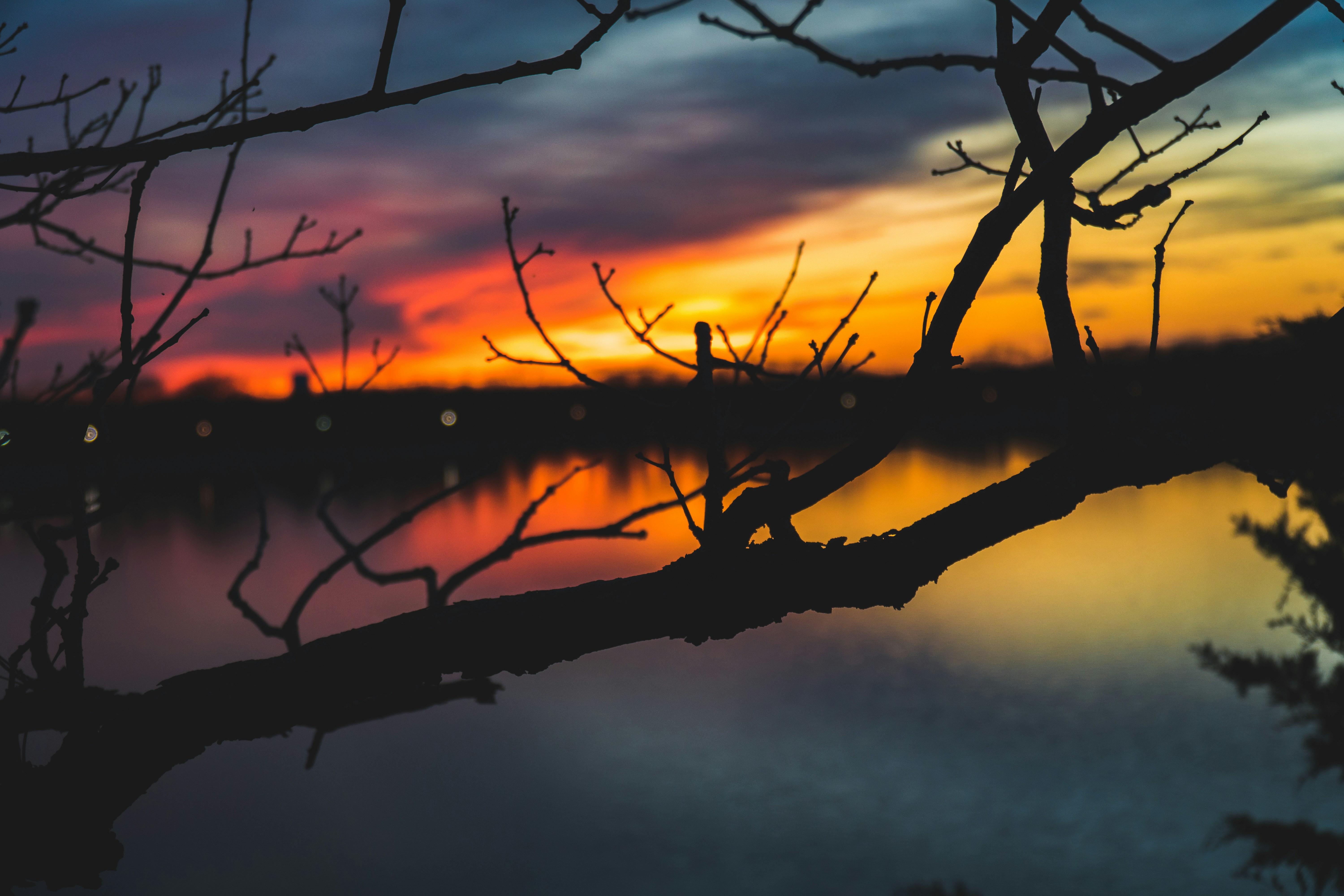 Photo by martinsanchez