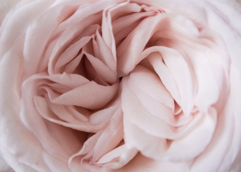 Feminine
