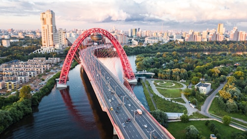 landscape photography of trees