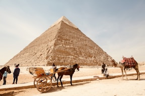 A large pyramid stands prominently in the background under a clear blue sky. In the foreground, there are several people, two horses, and a camel. One horse is attached to a cart that contains a few individuals. The camel is adorned with colorful decorations and stands close to its handler.