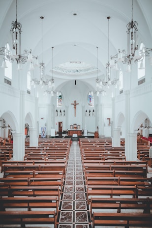 architectural photography of cathedral