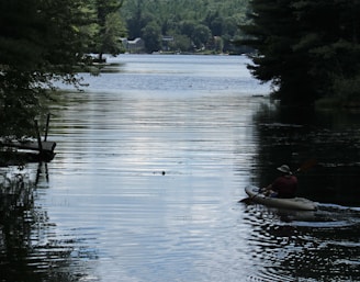 A family kayaking in a serene lake with trees reflecting on the water.