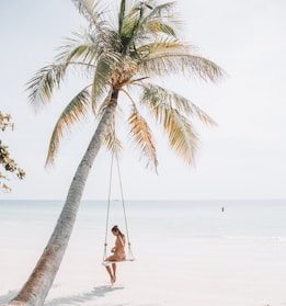 woman wearing bikini sitting on swing near coconut tree