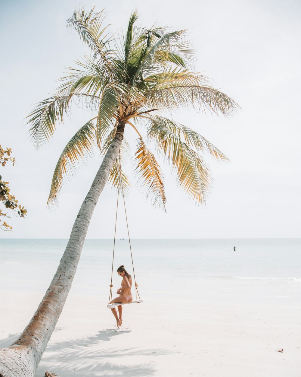 woman wearing bikini sitting on swing near coconut tree