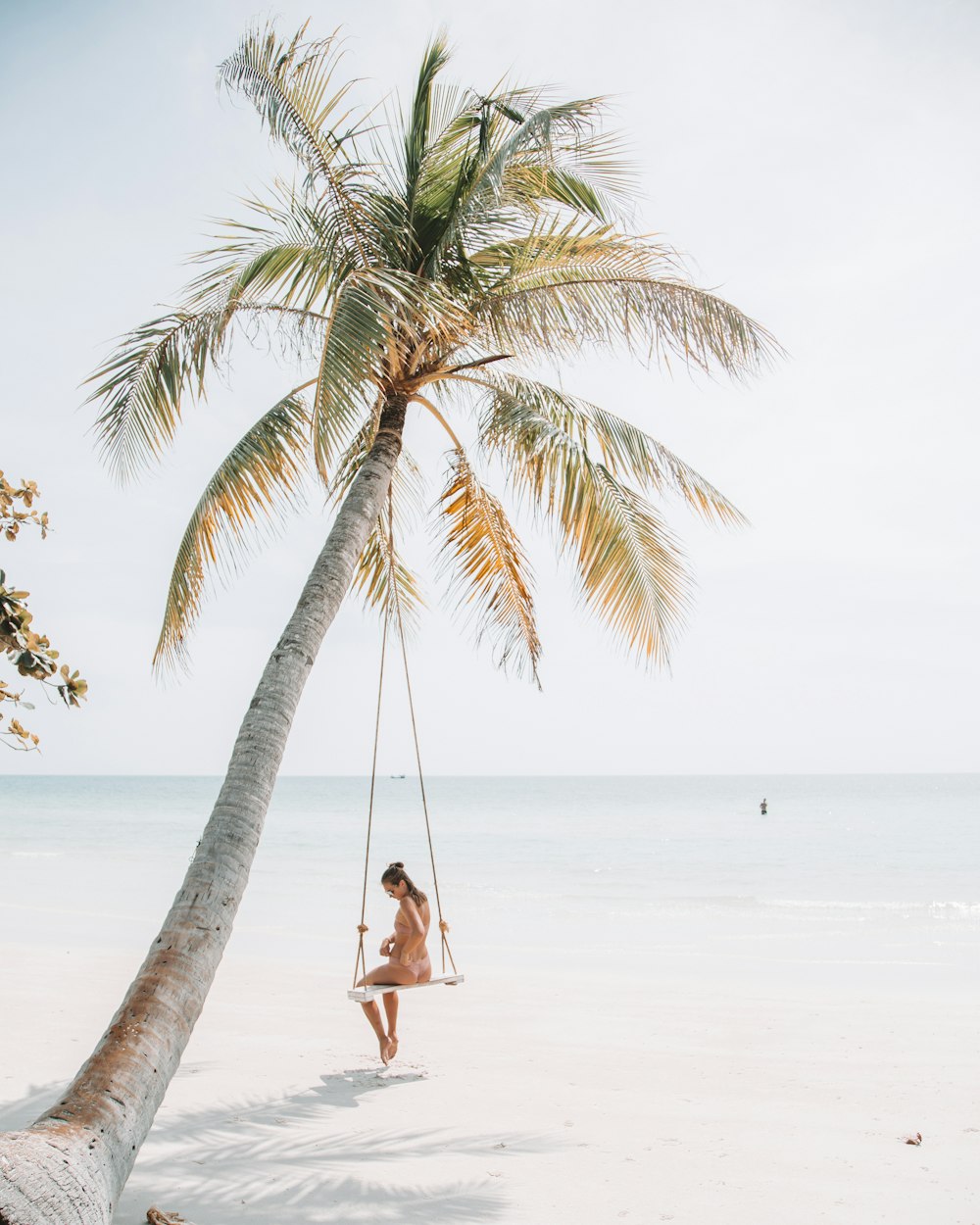 donna che indossa bikini seduta sull'altalena vicino all'albero di cocco