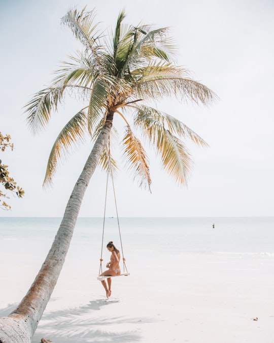 woman wearing bikini sitting on swing near coconut tree in Phu Quoc Vietnam