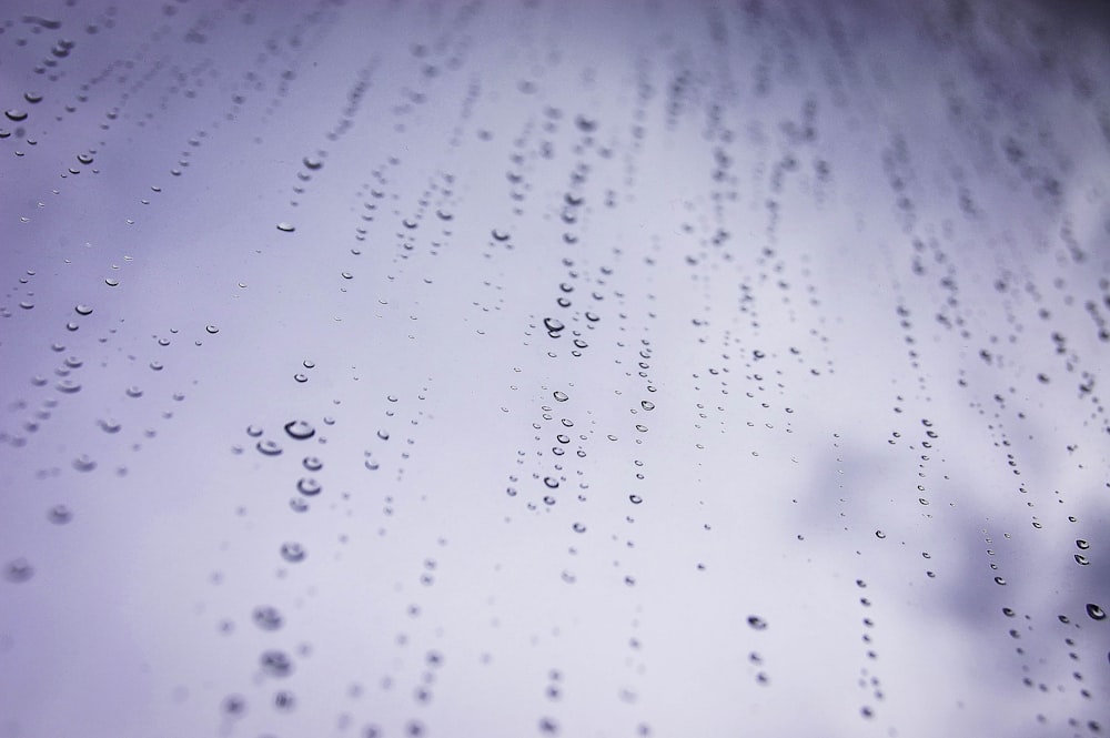 macro photograph of water dew drops on glass panel