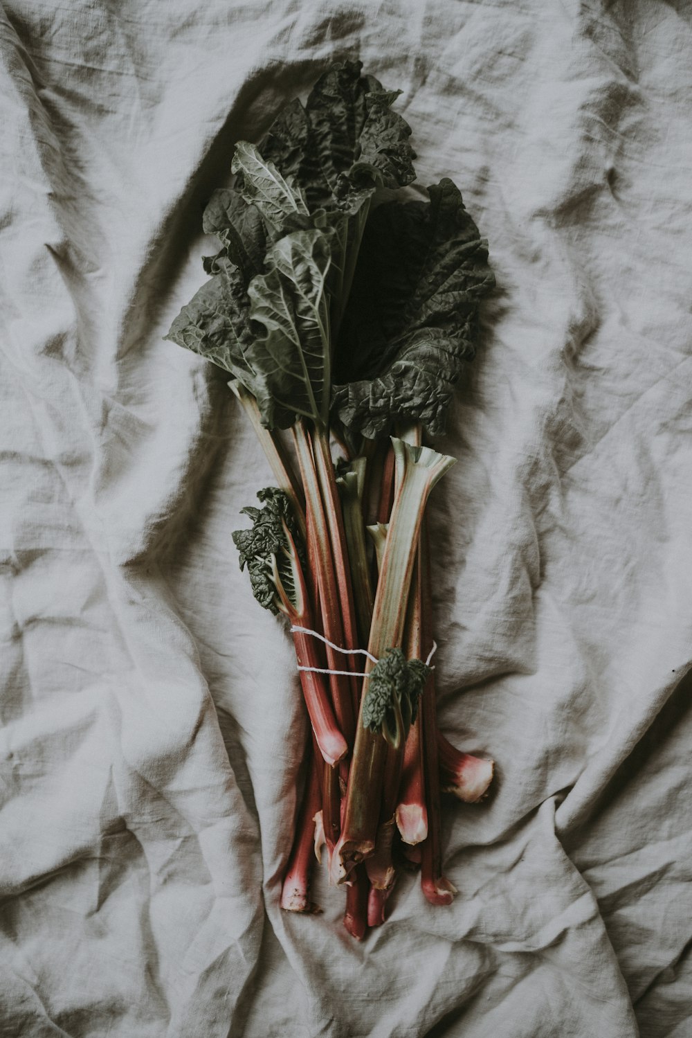 légume à feuilles vertes