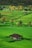 bird's-eye view of house surrounded by grass field