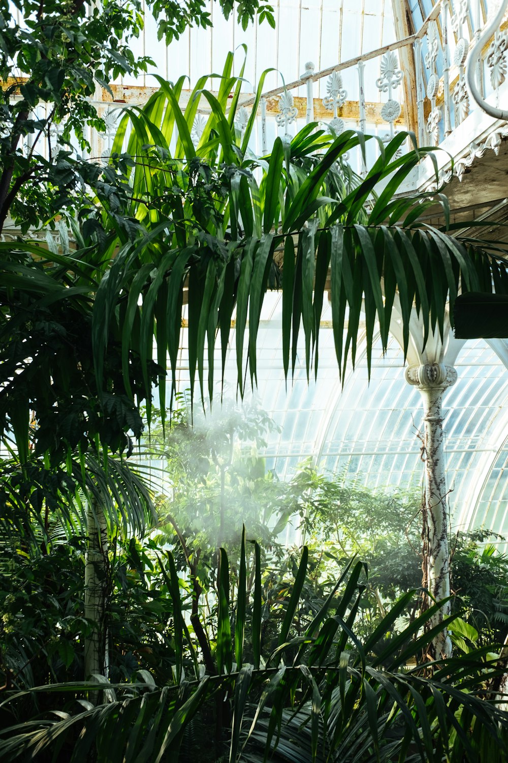 planta de hojas verdes