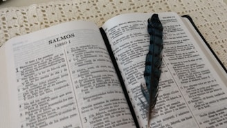 An open book with spiritual texts and a feather pen.