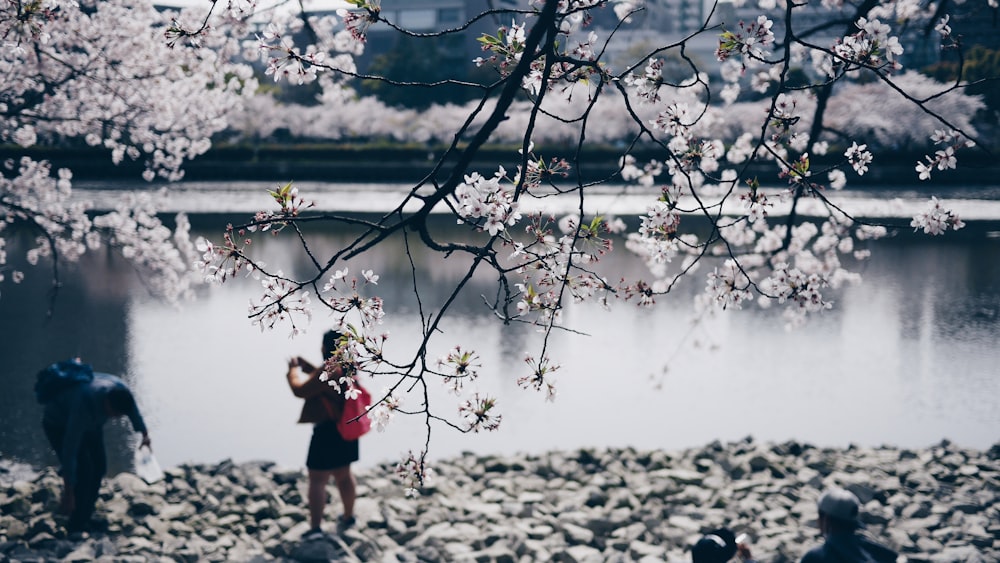 two woman and man standing beside cherry blossom