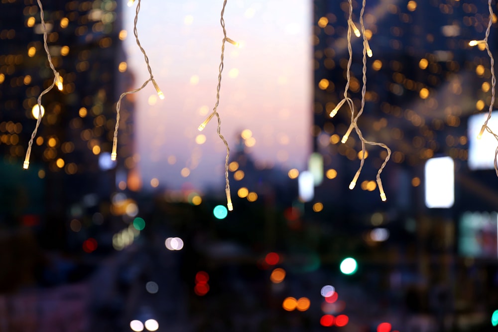 bokeh photography of string lights