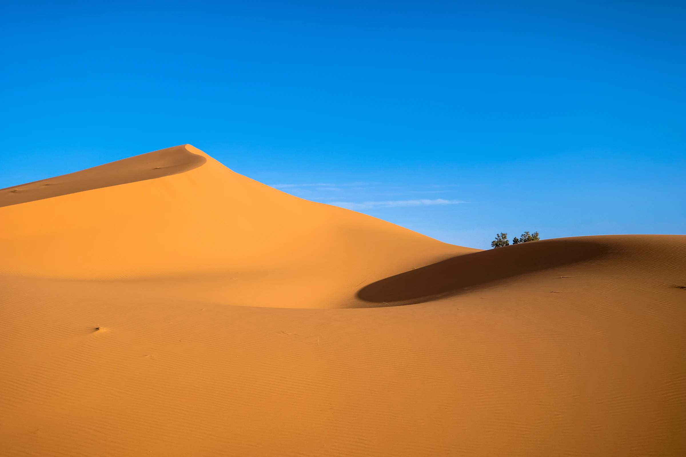 Vast golden Sahara sand dunes under a clear blue sky, photo by Francesco Ungaro on Unsplash