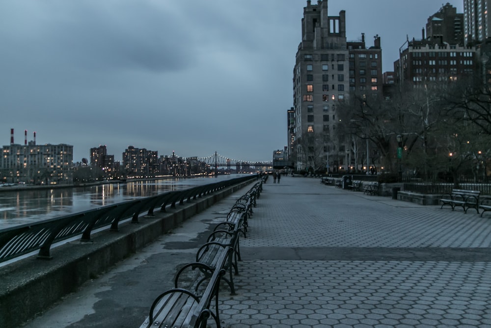 empty park in front body of water surrounded with buildings