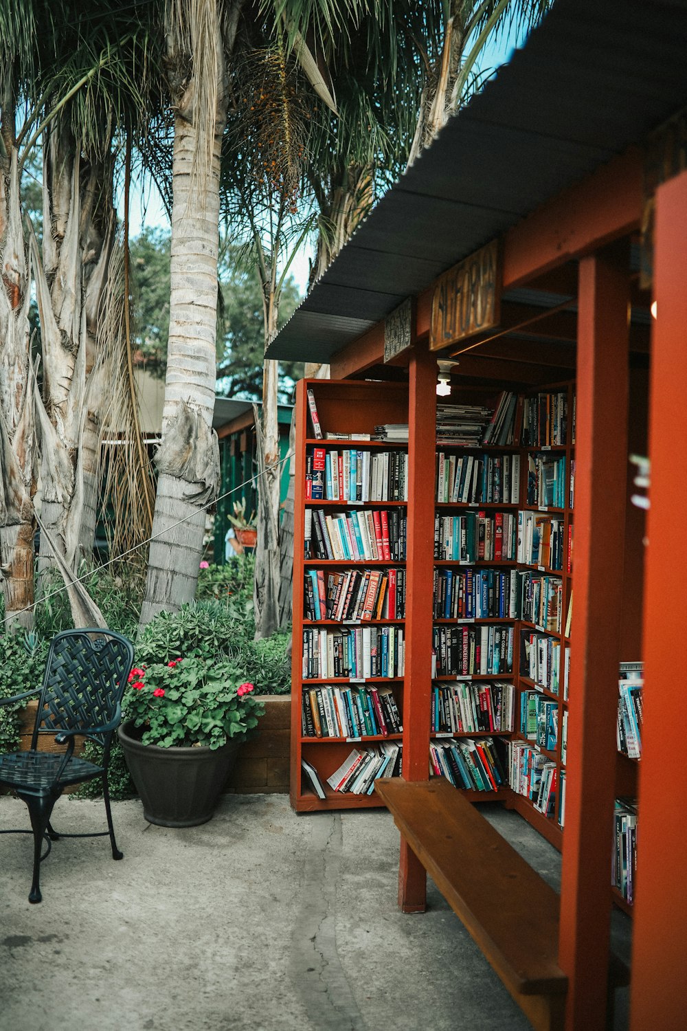 books on library shelving