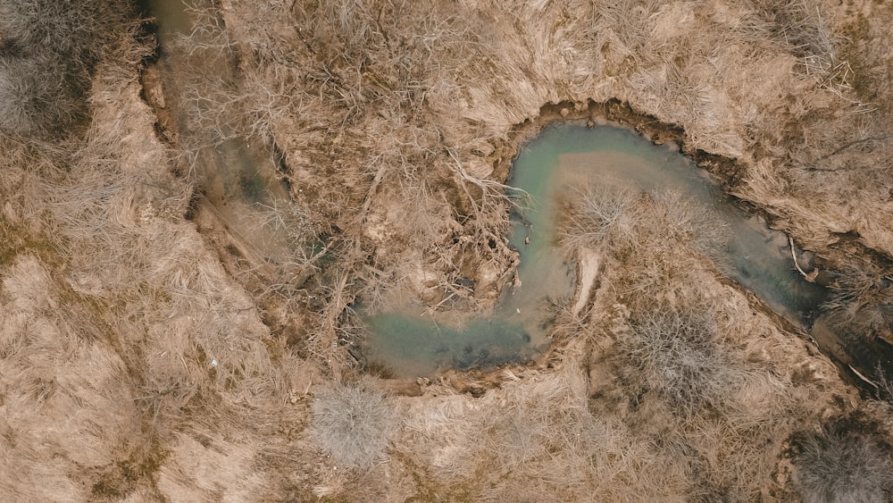 aerial photography of body of water and land