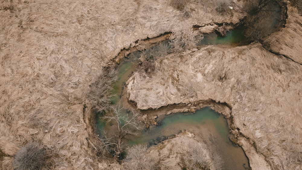 aerial photography of river at daytime