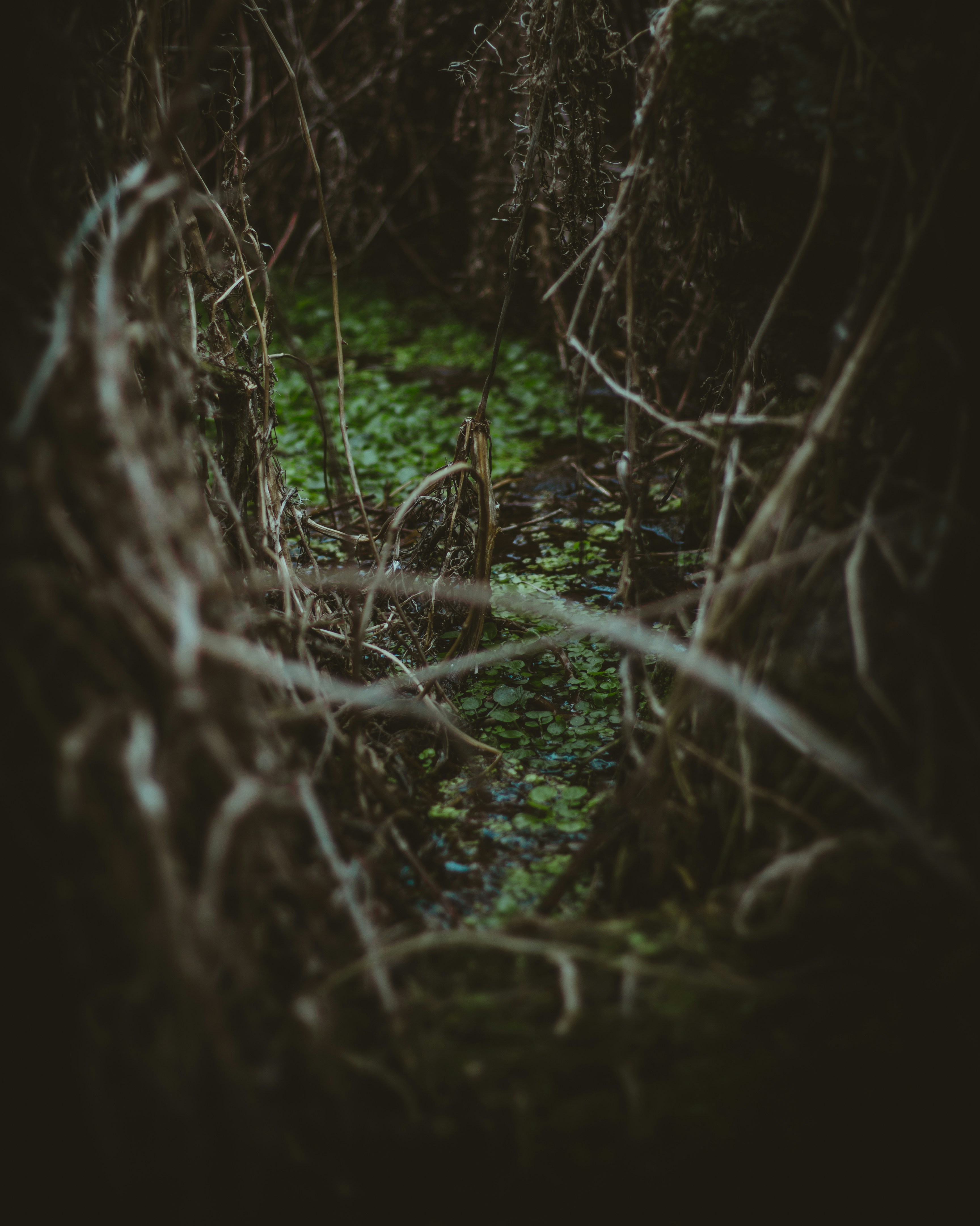 Refactoring legacy code story