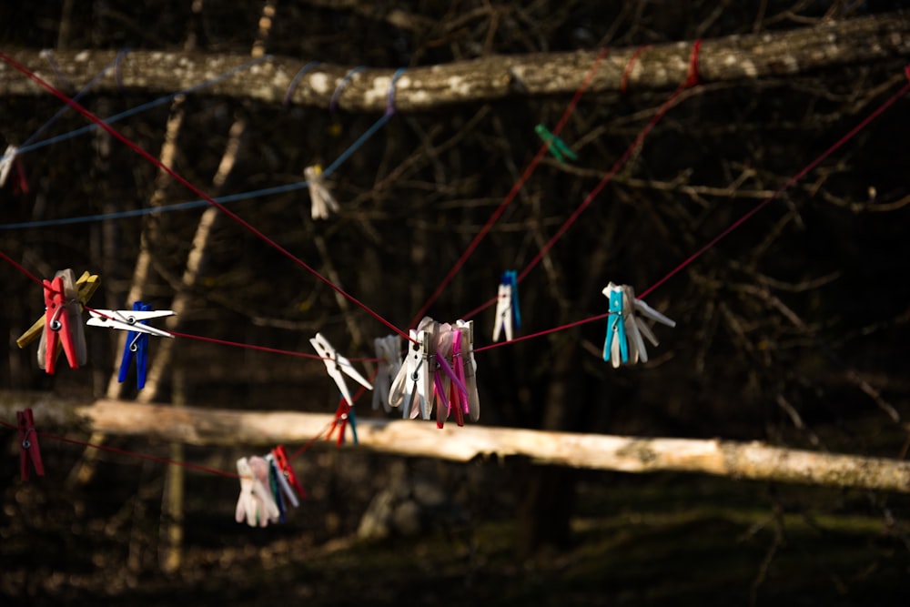 clothes clip hanging