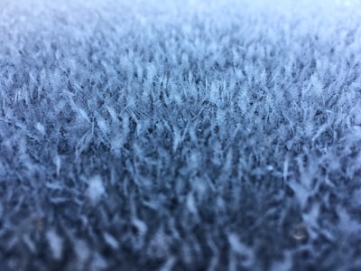 snow-covered grass jack frost zoom background